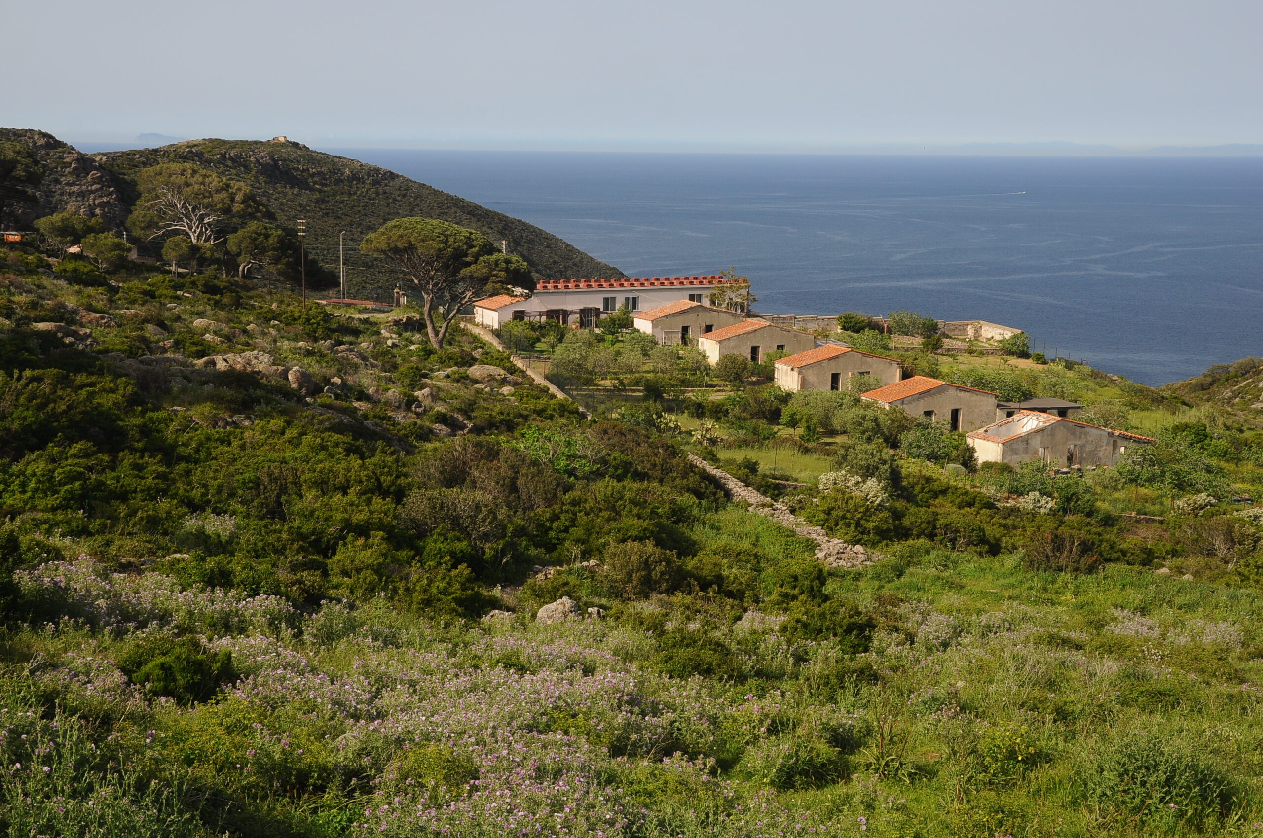 Agriturismo Valle di Portovecchio